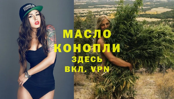 шишки Болохово