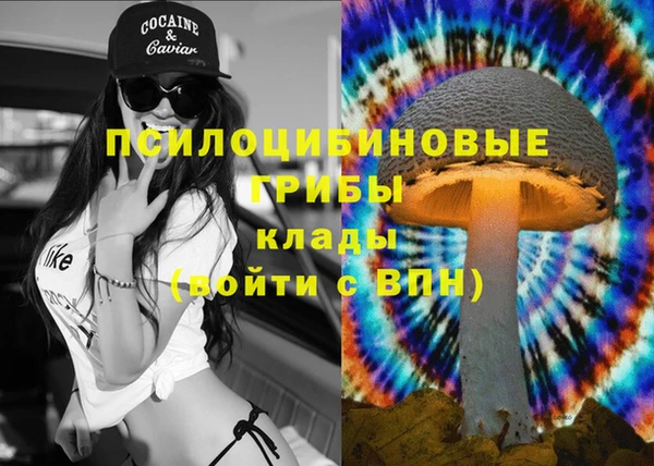 кокаин Дмитриев