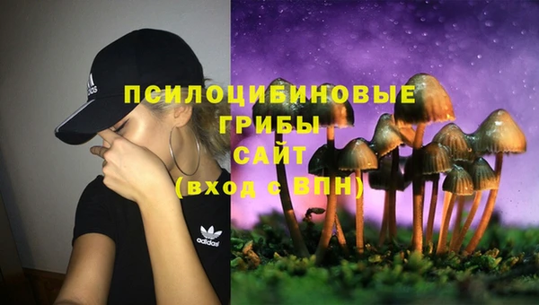 кокаин Дмитриев